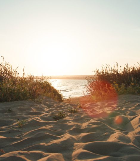 Sonnenuntergang am Sandstrand, der von Vegetation gesäumt ist, mit Blick auf das Meer und einen klaren Himmel.